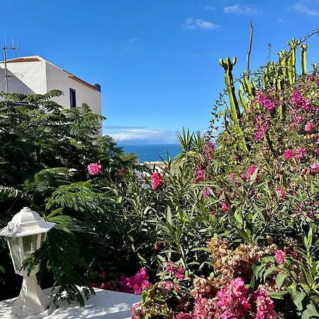 Cosy Ocean View & Garden * Costa Adeje (Tenerife)
