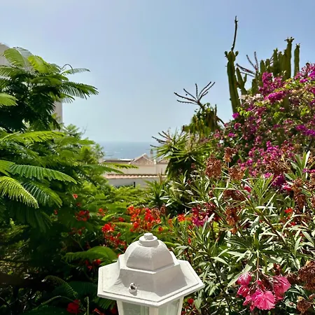 Cosy Ocean View & Garden شقة *