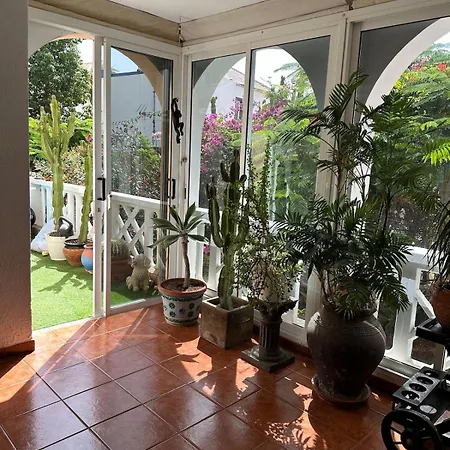 Cosy Ocean View & Garden *